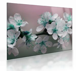 Tablou pe sticlă cu floare - turcoaz (70x50 cm)
