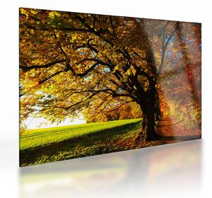 Tablou pe sticlă cu toamna (70x50 cm)