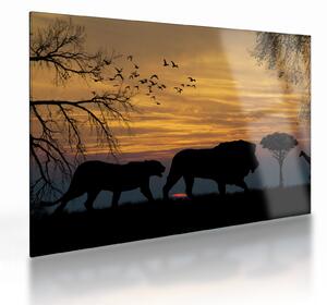 Tablou pe sticlă cu Safari (70x50 cm)