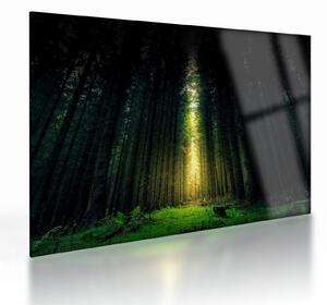 Tablou pe sticlă cu pădurea întunecată (70x50 cm)