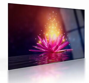 Tablou pe sticlă cu lotus pe apă (70x50 cm)
