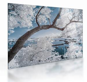 Tablou pe sticlă cu copac înzăpezit lângă apă (70x50 cm)
