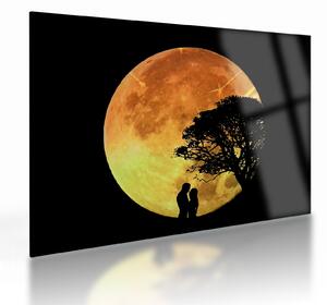 Tablou pe sticlă cu umbre în lumina lunii (70x50 cm)