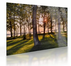 Tablou pe sticlă cu pomi lângă lac (70x50 cm)