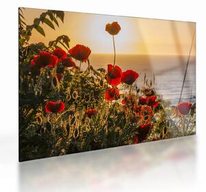 Tablou pe sticlă cu apus de soare cu flori de maci (70x50 cm)