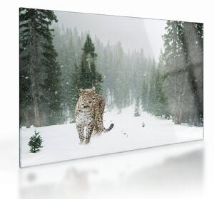 Tablou pe sticlă cu leopard în zăpadă (70x50 cm)