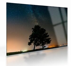 Tablou pe sticlă cu cerul nocturn și copaci (70x50 cm)