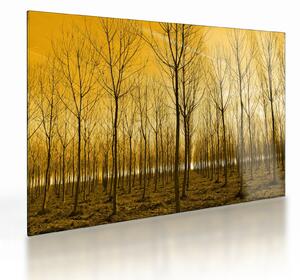 Tablou pe sticlă cu pădure în apus de soare (70x50 cm)