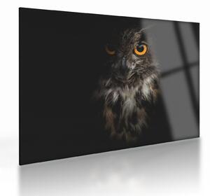 Tablou pe sticlă cu bufnița (70x50 cm)