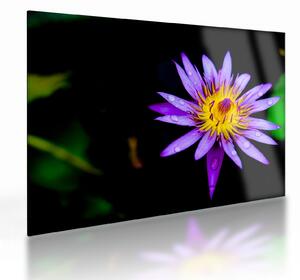 Tablou pe sticlă cu floare (70x50 cm)