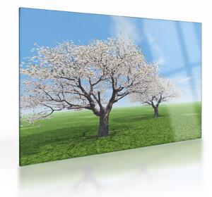 Tablou pe sticlă cu copaci (70x50 cm)