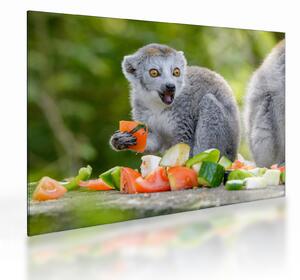 Tablou pe sticlă cu lemur (70x50 cm)