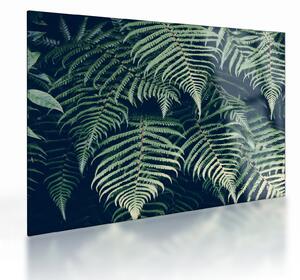 Tablou pe sticlă cu frunze de ferigă (70x50 cm)