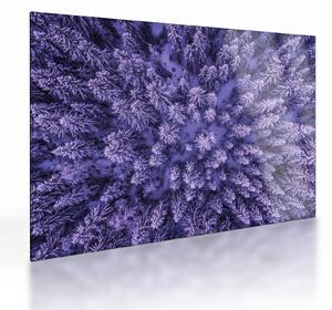 Tablou pe sticlă cu copacii înzăpeziți (70x50 cm)