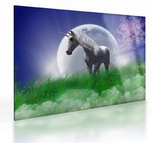 Tablou pe sticlă cu unicorn (70x50 cm)