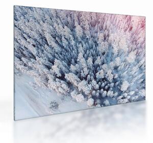 Tablou pe sticlă cu copaci înzăpeziți (70x50 cm)