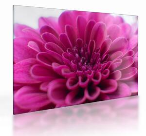 Tablou pe sticlă cu floare (70x50 cm)