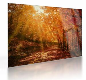 Tablou pe sticlă cu pădurea în toamnă (70x50 cm)
