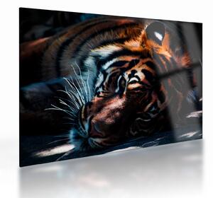 Tablou pe sticlă cu tigrul dormind (70x50 cm)