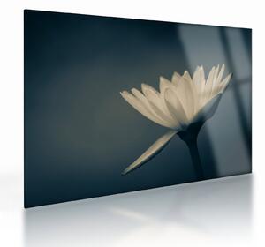 Tablou pe sticlă cu flori (70x50 cm)