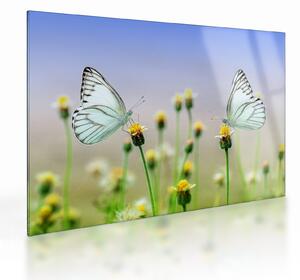 Tablou pe sticlă cu fluture pe floare (70x50 cm)