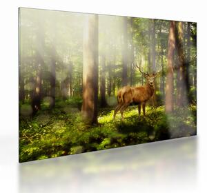 Tablou pe sticlă cu cerbul în pădure (70x50 cm)