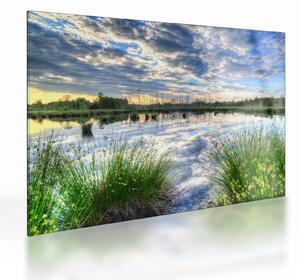 Tablou pe sticlă cu lac și trestie (70x50 cm)