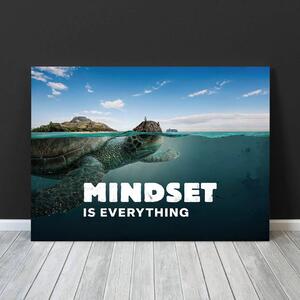 Mindset is everything (Turtle)