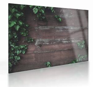 Tablou pe sticlă - Lederă (70x50 cm)