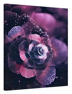 Purple Florescence