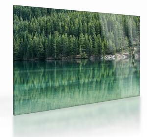 Tablou pe sticlă - Coniferi lângă lac (70x50 cm)