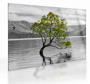 Tablou pe sticlă copacului în mijlocul lacului (70x50 cm)