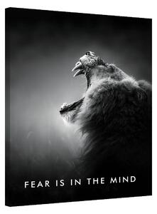 Fear Is In The Mind
