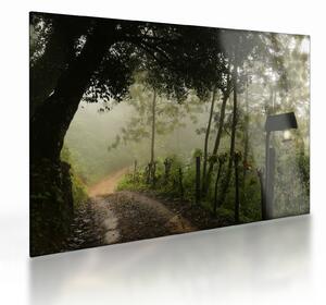 Tablou pe sticlă cu ceața de dimineața (70x50 cm)