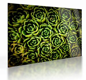 Tablou pe sticlă cu flori de piatră (70x50 cm)