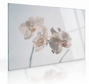Tablou pe sticlă cu orhidee albă (70x50 cm)