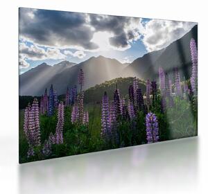 Tablou pe sticlă - scenariu cu flori de Lupin (70x50 cm)