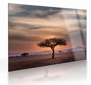 Tablou pe sticlă apusului de soare în Tanzania (70x50 cm)