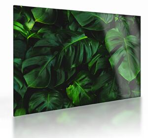 Tablou pe sticlă cu frunze Monstery (70x50 cm)