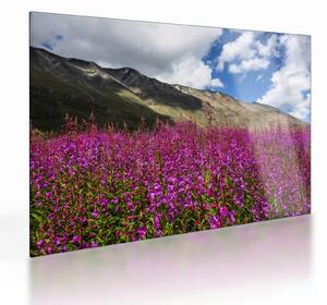 Tablou pe sticlă sceneriei cu lunca montană (70x50 cm)