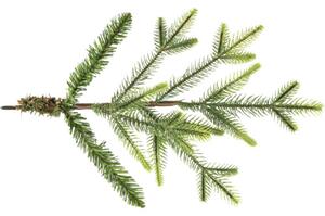 Brad de Crăciun artificial Lafiora Ottawa cu iluminare Ø 127 cm H 210 cm verde