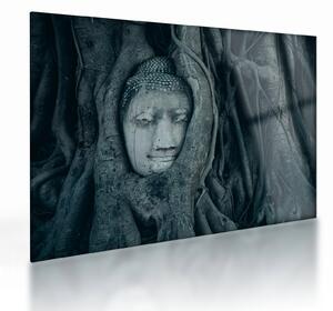Tablou pe sticlă - Fața Thailandeză (70x50 cm)