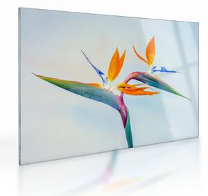 Tablou pe sticlă cu floarea Strelicie (70x50 cm)