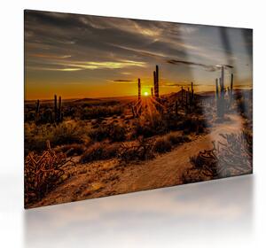 Tablou pe sticlă - Sfărșit de zi în deșertul Arizona (70x50 cm)