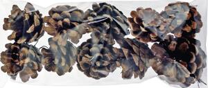 Set conuri brad, 10 buc, natur