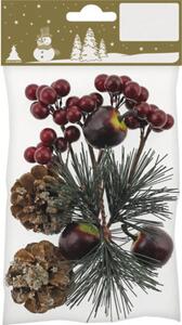 Set mixt ramuri, conuri, fructe