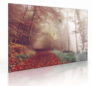 Tablou pe sticlă - Plimbarea de toamnă prin pădure (70x50 cm)