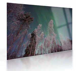 Tablou pe sticlă cu aurora borealis deasupra pomilor înghețați (70x50 cm)