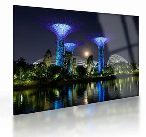 Tablou pe sticlă cu lună plină în grădinile din Singapur (70x50 cm)