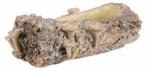 Ambalaj din beton - ghiveci, lemn cu ciuperci, 36x 18 x 13 cm, maro